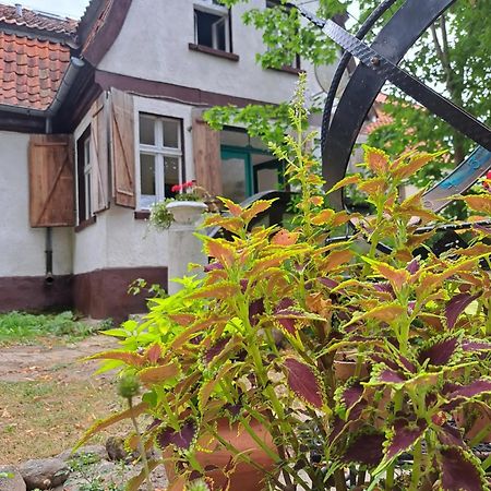 Dom Na Mazurach Pilec Bed & Breakfast Eksteriør bilde