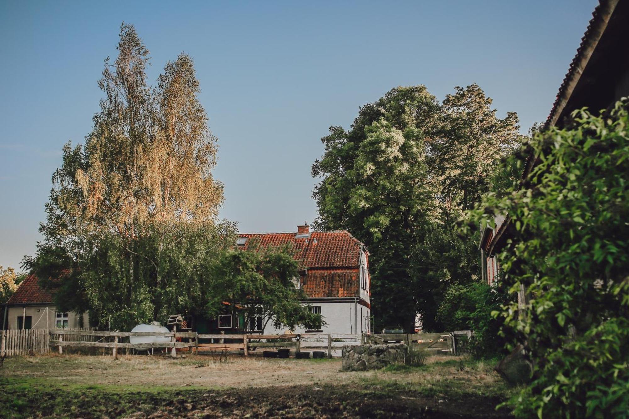 Dom Na Mazurach Pilec Bed & Breakfast Eksteriør bilde