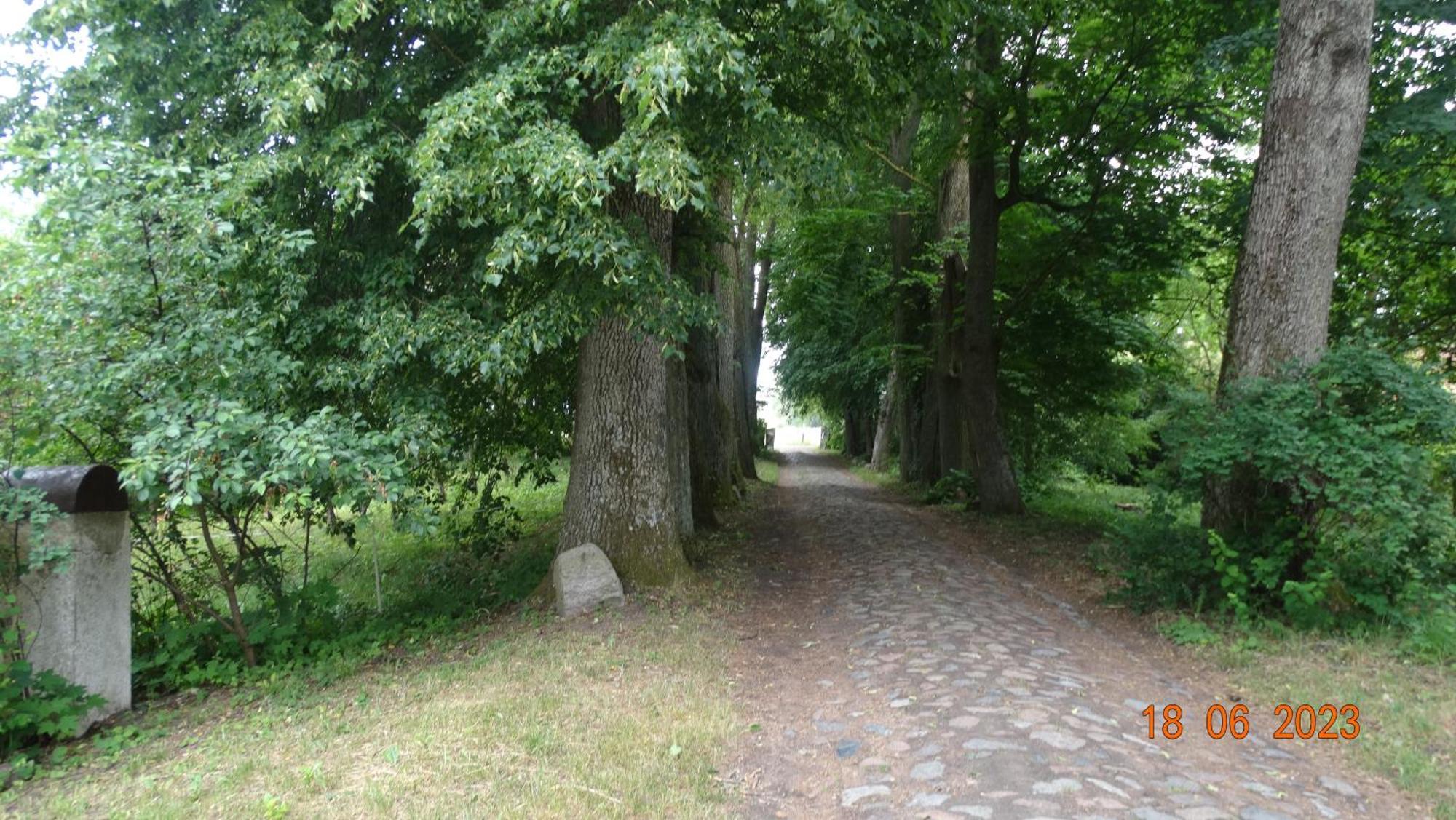 Dom Na Mazurach Pilec Bed & Breakfast Eksteriør bilde