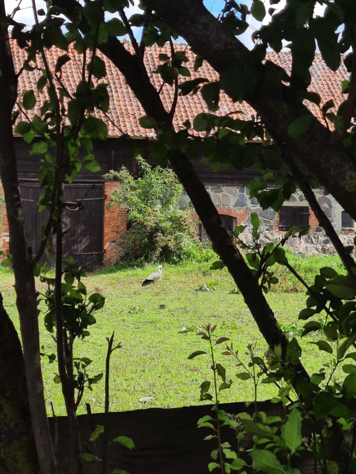 Dom Na Mazurach Pilec Bed & Breakfast Eksteriør bilde